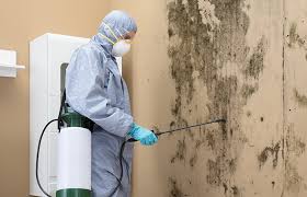 Best Environmental Consulting for Mold Prevention  in Ledgewood, NJ